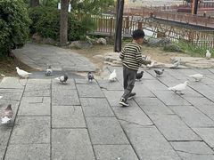 -中国翰园碑林