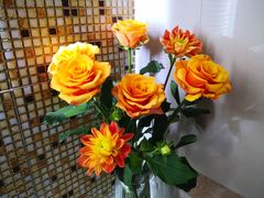 -爱尚幸福鲜花(上地实体店)