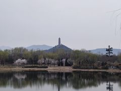 -北坞公园