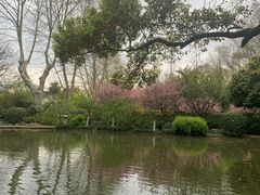 -杭州黄龙洞