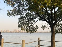 -无锡蠡湖国家湿地公园-蠡园