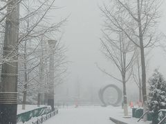 -大兴滨河森林公园