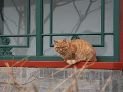 -北京颐和宾馆