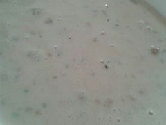 -露西亚咖啡西餐厅(哈尔滨俄侨纪念馆店)