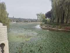 -函谷关历史文化旅游区