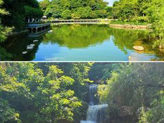 -广州市帽峰山景区