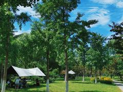 -永定河休闲森林公园