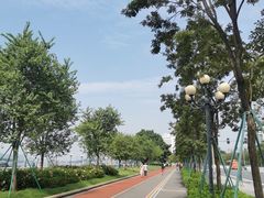 -洲头咀公园