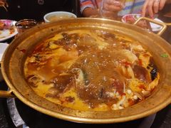 -友乐居羊蝎子(西直门店)