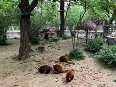 -西安秦岭野生动物园