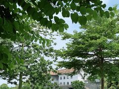 -美的鹭湖森林度假区
