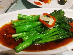 -天福苑(崇宁路店)