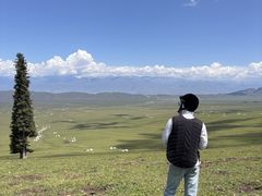 -新疆那拉提国家旅游度假区