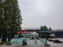 -黄海国家森林公园