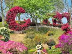 -东莞植物园