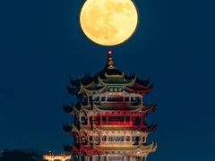 -黄鹤楼公园(黄鹤楼)