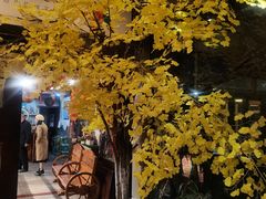 -嘎洒汤锅·花腰傣美食