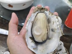 -蚝专家(北滘店)