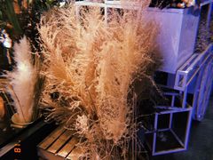 -植物学家的女儿(北马道巷店)