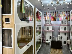 -青奢宠物·青奢猫舍