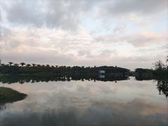 -厦门园林博览苑