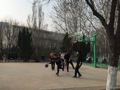 -张店儿童公园