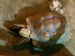 -泉州海丝野生动物世界