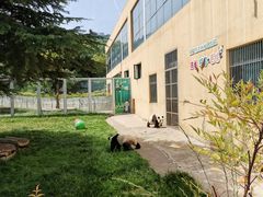 -西安秦岭野生动物园