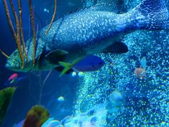 -沈阳海洋探索中心