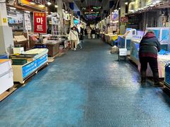 -西归浦每天偶来市场