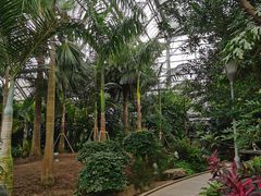 -南山植物园