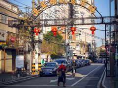 -溪岸路花鸟市场
