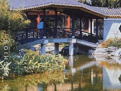 -顺峰山公园