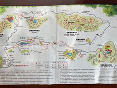 -三亚亚龙湾人间天堂鸟巢度假村