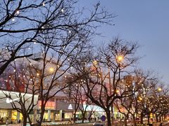-肯德基(西单商场店)