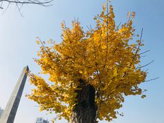 -百林公园-两江幸福广场
