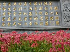 -天龙宝严素食馆(大兴善寺店)