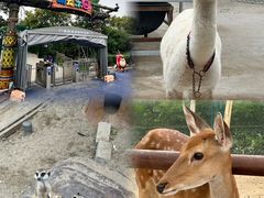 -海合安天津极地海洋公园
