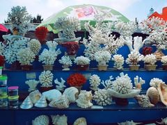 -日照灯塔风景区