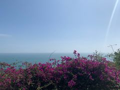 -涠洲岛火山国家地质公园