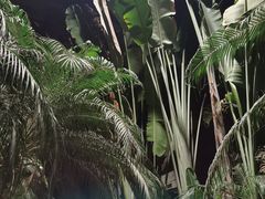 -龙达温泉生态城