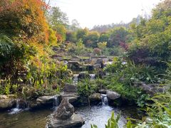 -腾冲洞山温泉村