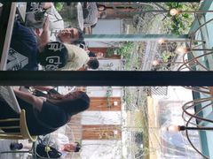 -喵屿·大理花园猫咖