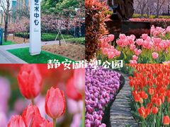 -上海辰山植物园