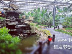 -北戴河集发农业梦想王国