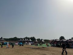 -上林马术中央公园·户外露营·团建·骑乘