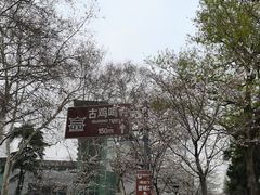 -鸡鸣赐茶(鸡鸣寺路店)