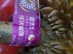 -沈阳市八家子水果批发市场