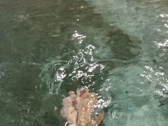 -苏州湾王焰温泉度假酒店