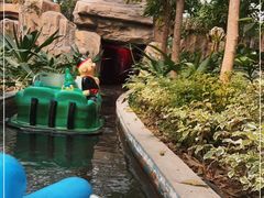 -南宫五洲植物乐园